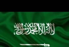 نتائج أولية لتحقيق سعودي بحادثة طائرة فلاي دبي