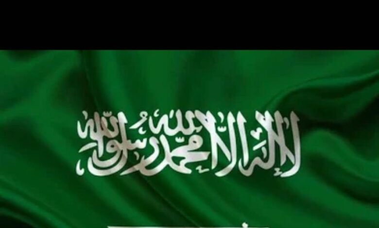 نتائج أولية لتحقيق سعودي بحادثة طائرة فلاي دبي