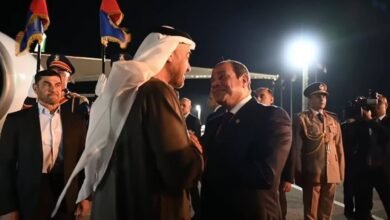 بحث العلاقات الثنائية والتطورات الإقليمية بين مصر والإمارات