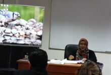 الخروج من مصيدة السياسة واستعادة الوعي الإنساني.