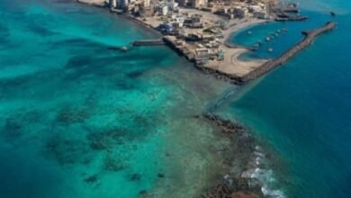 باب المندب في قلب المعركة وسط تحركات عسكرية سعودية
