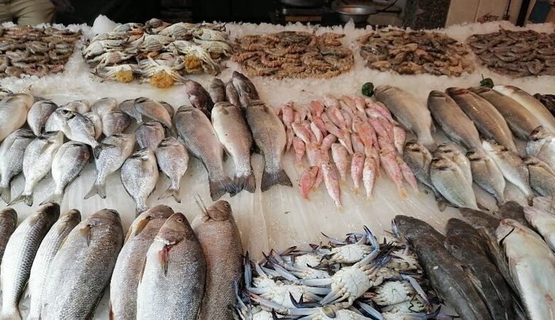 تباين أسعار الأسماك اليوم في سوق العبور