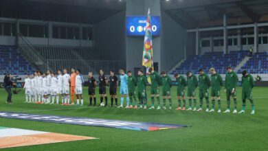 تعادل مشحون بين إسرائيل وإيرلندا بدوري الأمم