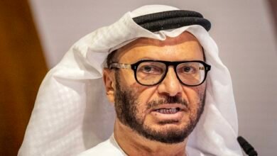 قرقاش يشيد بالبديهية الاستراتيجية للسادات في حرب أكتوبر
