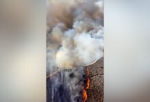 حريق نورتي يهدد المنازل ويجبر السكان على الإجلاء بكاليفورنيا