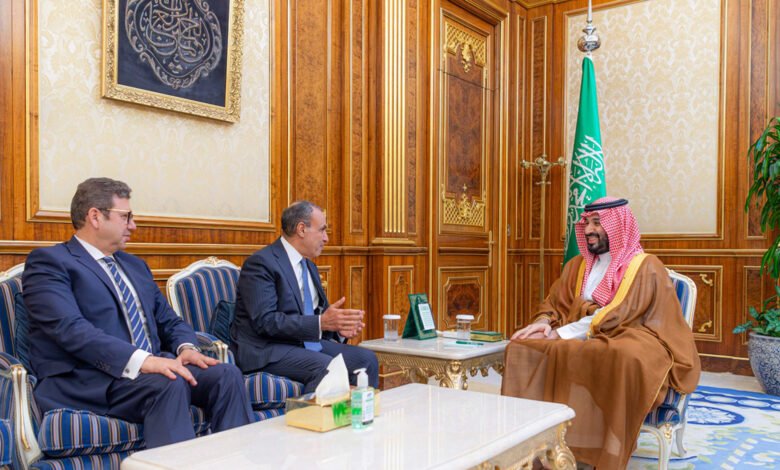 ولي العهد السعودي يستقبل وزير الخارجية المصري في الرياض