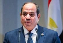 الجهد العسكري المصري للدفاع عن السعودية حصراً