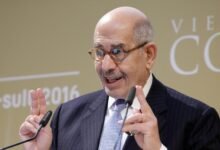 البرادعي يشيد باجتماع طهران الإقليمي لبحث أمن المنطقة